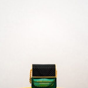 Dior Saddle Bag